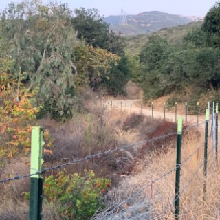 a train traveling down train tracks near a forest