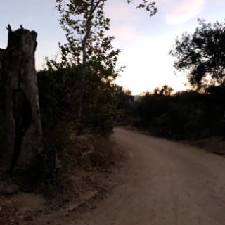 a person walking down a dirt road