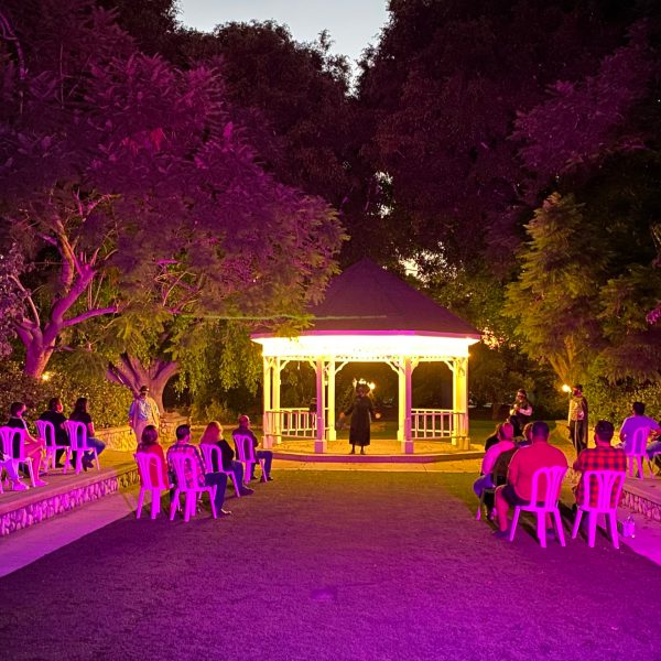 a group of purple flowers