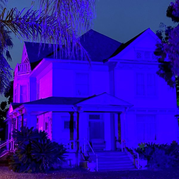 a christmas tree in a purple light in front of a building