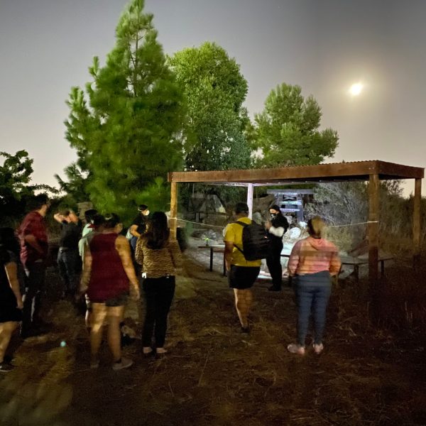 a group of people that are standing in the grass
