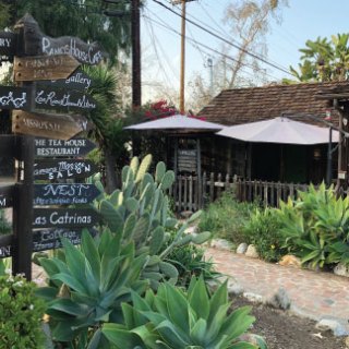 a group of palm trees on the side of a building