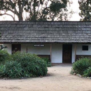 a tree in front of a house