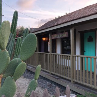 a cactus in front of a building