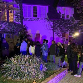 a group of purple flowers on a stage in front of a crowd
