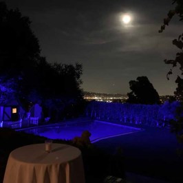 a christmas tree in a dark room