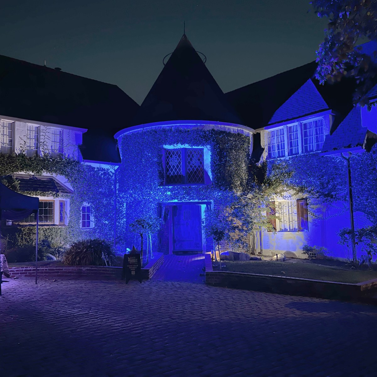House facade lit with blue lights at night.