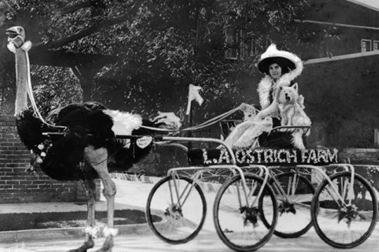 a group of people riding on the back of a bicycle